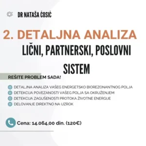 2. Detaljna analiza – Lični, partnerski ili poslovni sistem